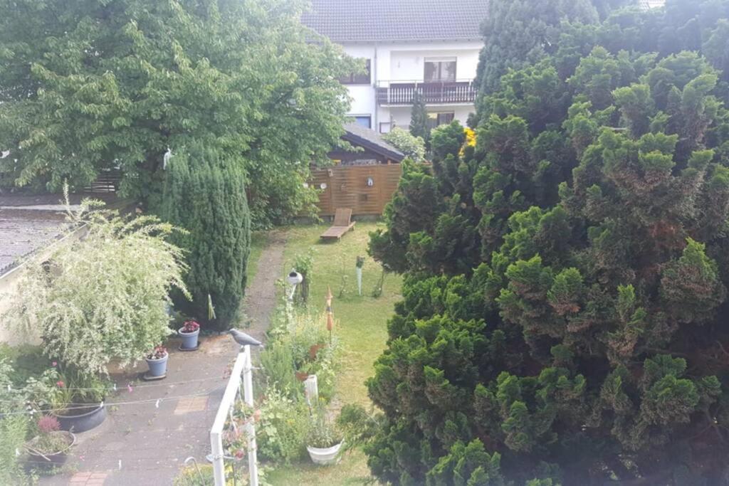 Ferienwohnung Maria Magdalena Бад-Нойенар-Арвайлер Экстерьер фото